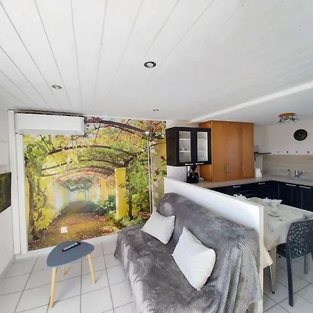 Appartement Pavillon T2 Mezzanine Climatise, Piscine Et Parking *